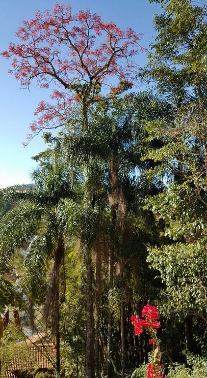 Pousada Pedacinho do Céu Conservatória Extérieur photo